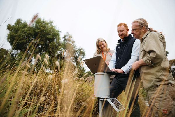 A male resting a laptop on a silver water meter is standing in between a male and female zoo worker, both wearing khaki shirts and shorts. They are standing in thick shrubbery and all looking at the laptop.